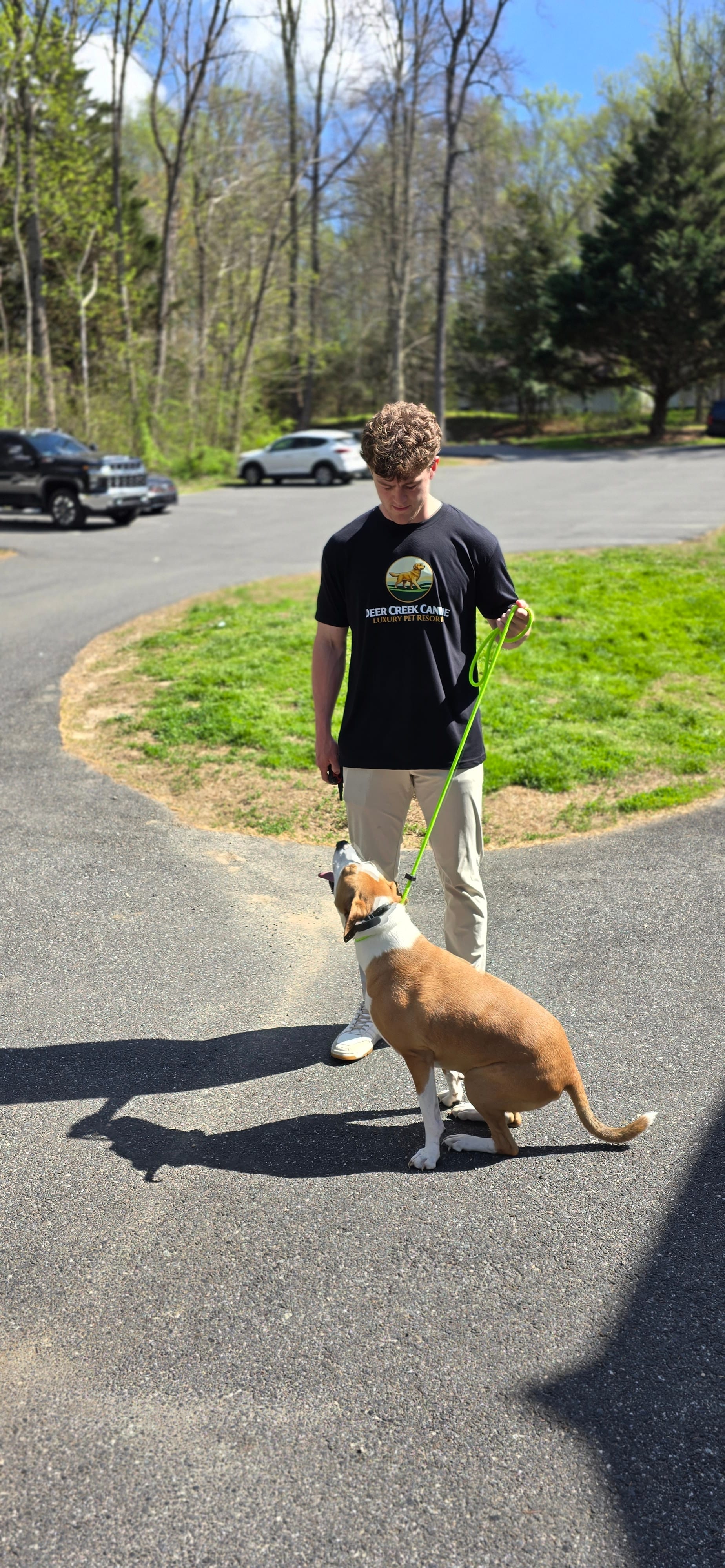 A Deer Creek trainer leash-walking a tan dog outdoors at the resort