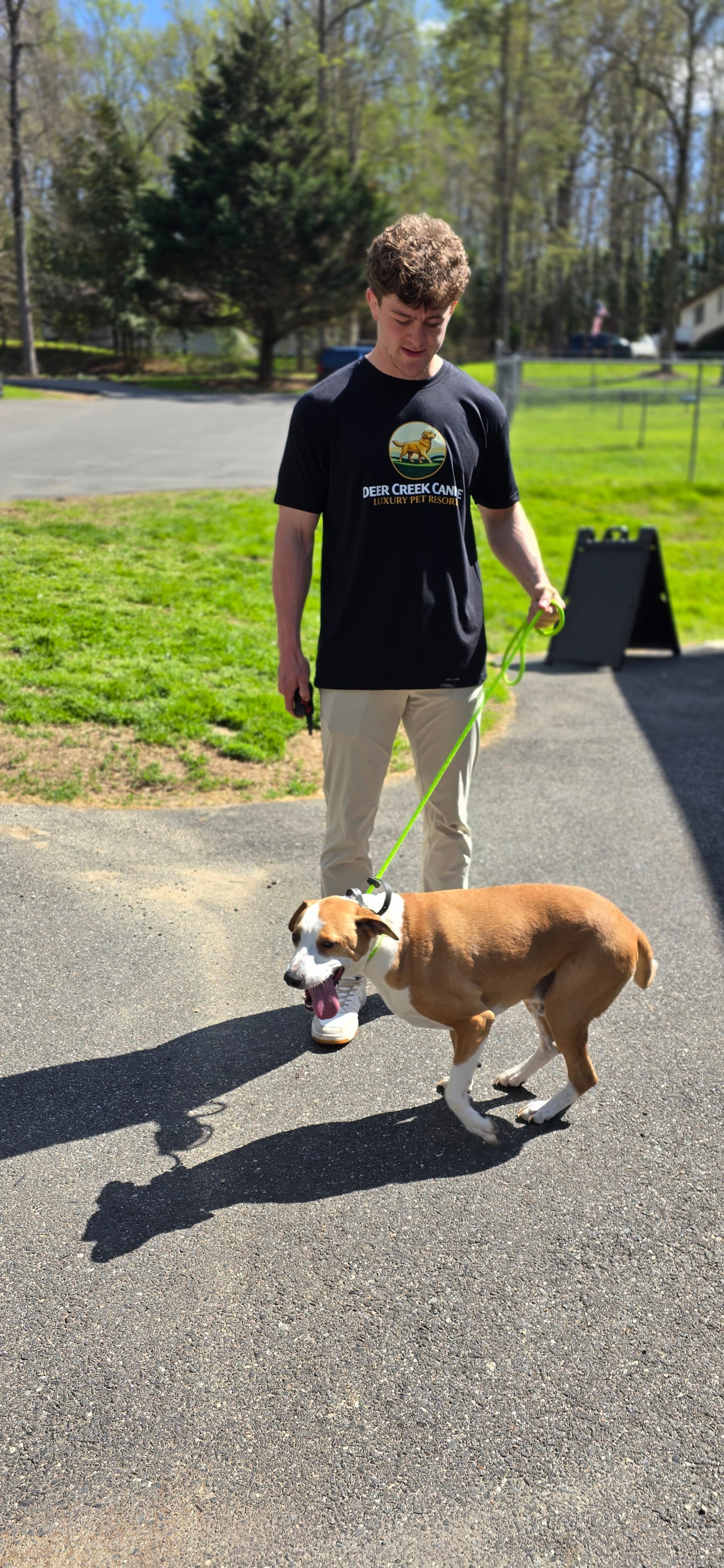 A trainer and dog on a structured walk on the resort property