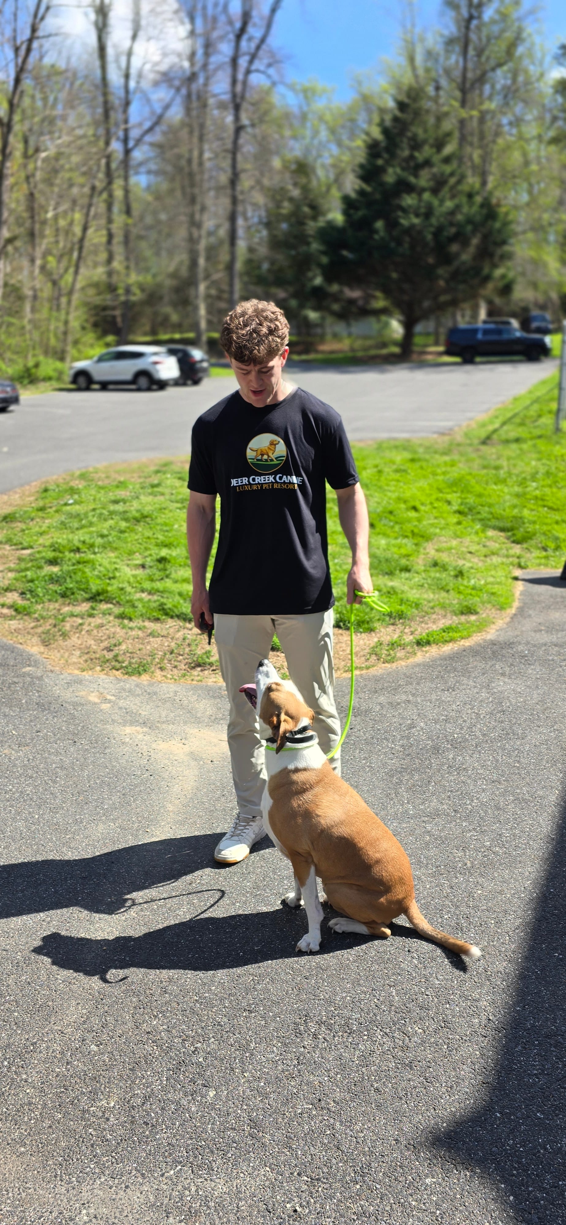 A bright tan dog working a clean heel with a Deer Creek trainer